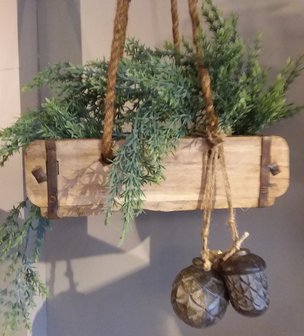 Steenmal (planten) hanger