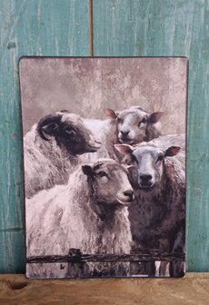 Nostalgisch bordje &#039;schapen met ram&#039;