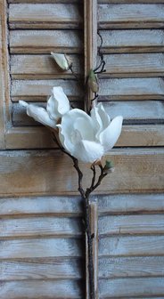 Magnolia (kort) zijden kunsttak wit