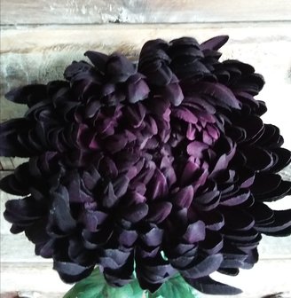 Black aubergine spinflower zijden bloem