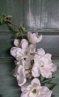 Delphinium wit zijden bloemen