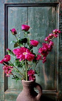 Roos zijden bloem in fuchsia