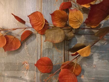 Kunsttakken met herfstbladeren 
