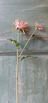 Spincrysant zijden bloem in roze