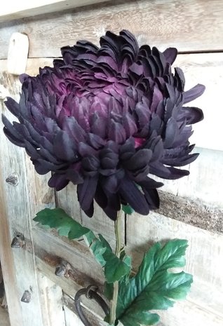 Black aubergine spinflower zijden bloem
