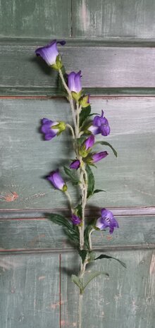 Campanula (klokjesbloem) zijden bloemen in paars