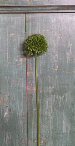 Allium (klein)  kunststof groen