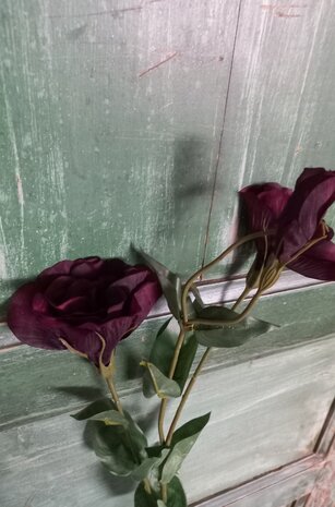 Gentiaan zijden bloemen in donker aubergine 