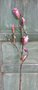 Magnolia-zijden-kunsttak-roze