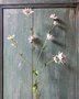Astrantia-(Zeeuws-knoopje)-zijden-bloem-in-wit-groen