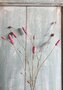 Burnet-spray-kunststof-tak-in-oudroze