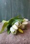 REALTOUCH-tulpen-in-WIT-(nieuwe-collectie)